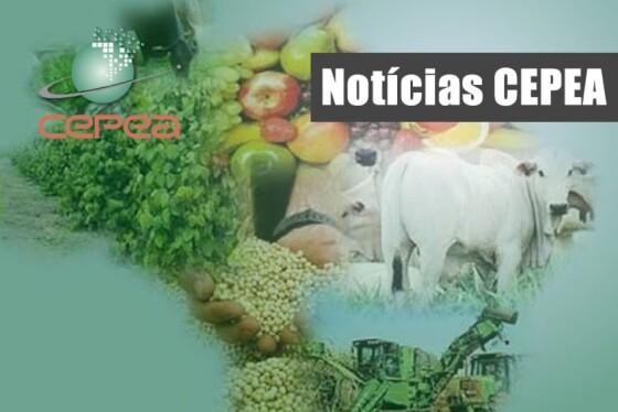 upload infocoweb - a4ed4f8ef4b3e3b48dc953aa05e4b691