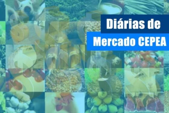 upload infocoweb - df20ac2850a27ede707afc7cfe03f62b
