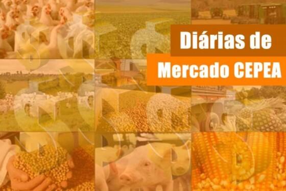 upload infocoweb - 2bdd1bf3930e820504ce6a8170cfdaaa