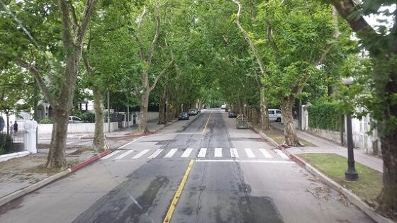 rua-arborizada.jpg