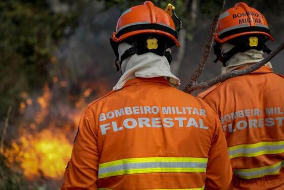 Bombeiros de MT.jpg