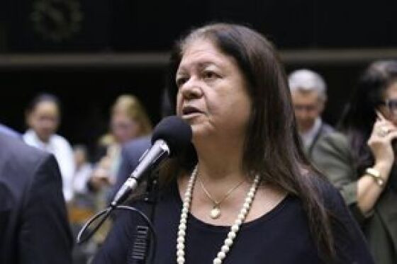 cOMISSÃO.jpg