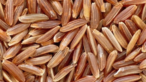 arroz exportação.jpg