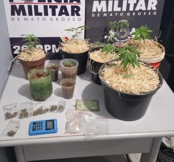 MACONHA PÉ.jpeg
