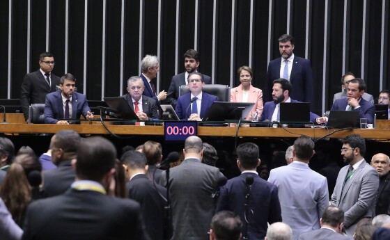 PLENÁRIO CÂMARA VOTO FAVOR.jpg