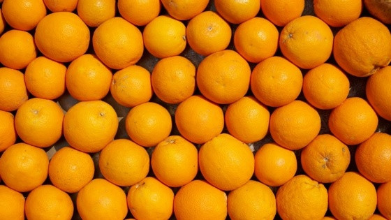 Laranja para suco.jpg