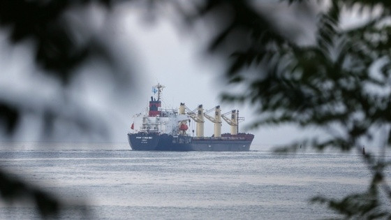 Navio defensivo.jpg