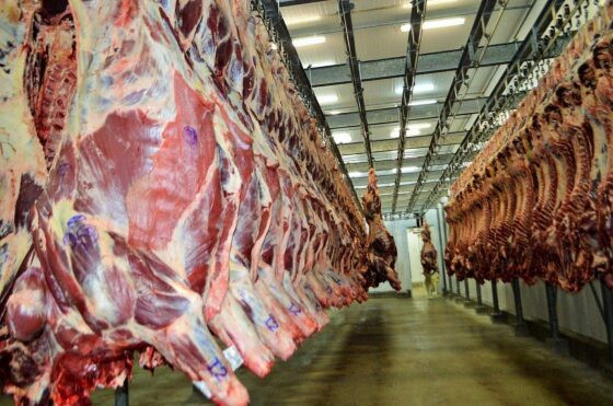 carne brasileira.jpg