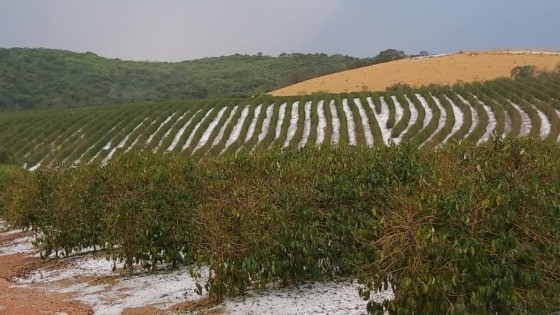 cafezal_granizo_1200x675_09102022133502.jpg