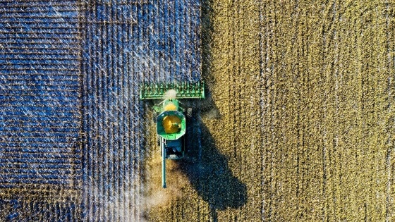 Dia do agricultor.jpg
