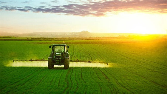 agroquimicos.jpg