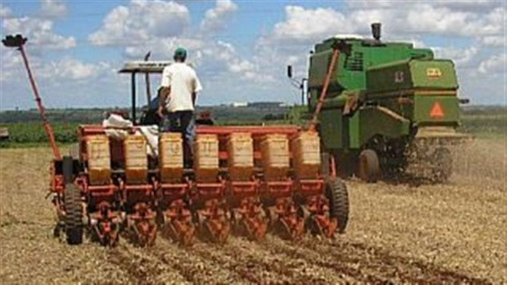 PLANTIO DIRETO.jpg