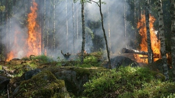 fogo.jpg