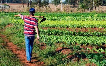 Justiça Federal adota nova regra para agilizar aposentadoria rural  e salário-maternidade em MT
