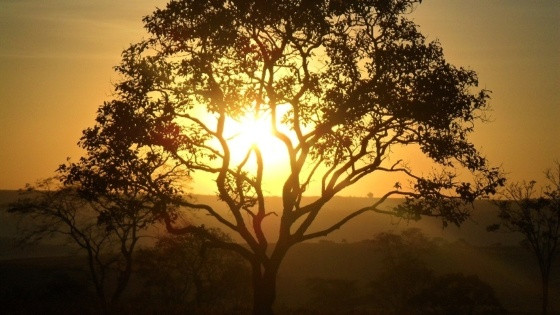 Por do sol.jpg