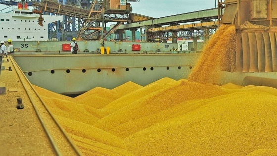 soja exportacion.jpg