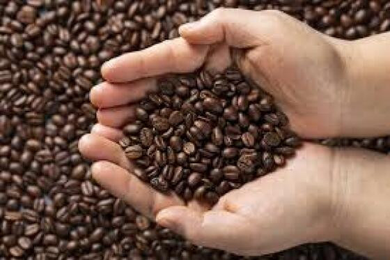 CAFÉ PEABIRUS.jpg