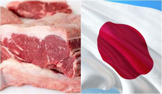 Carne japão.jpg