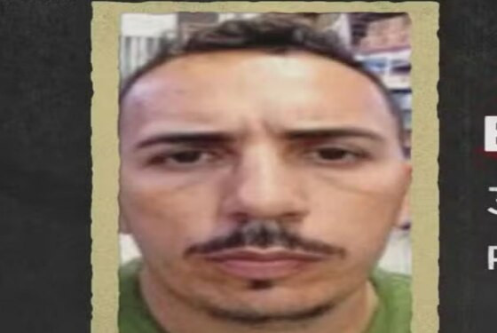 Pica pau.jpg