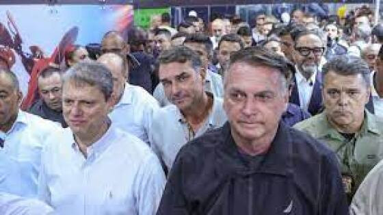 Bolsonaro Inelegivel.jpeg