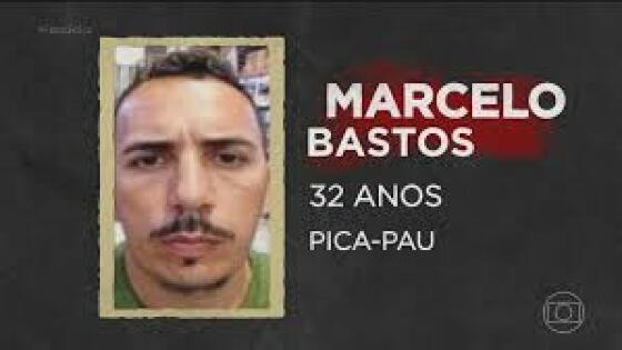 Pica Pau.jpeg