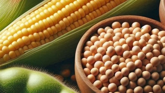 Produtos agríciolas.jpg