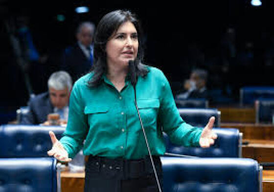 Simone Tebet.jpeg