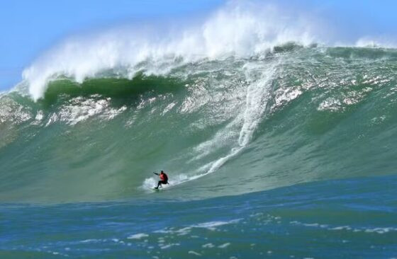Surfando.jpg