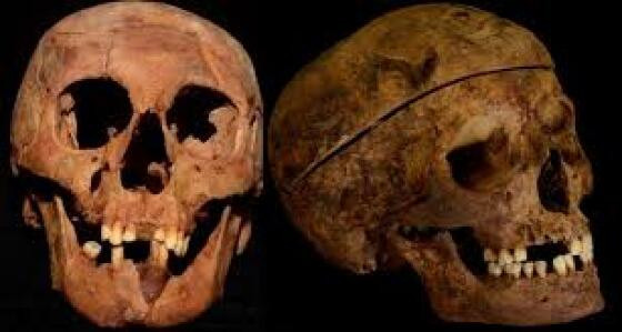 Cranios.jpeg