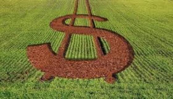 compre rural.jpeg
