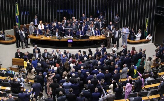 Ocupação do plenário.jpg