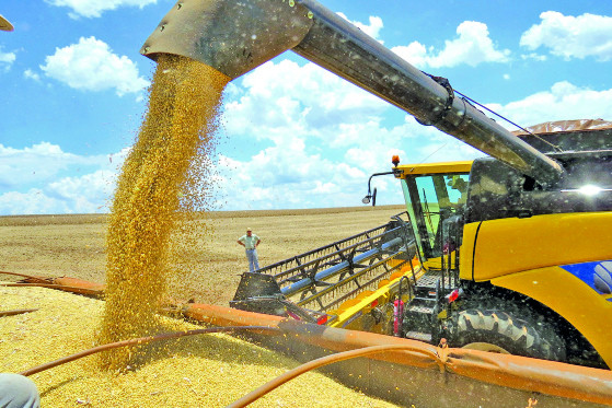 agro.jpg