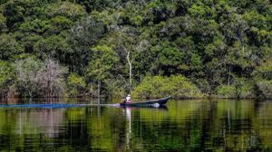 Amazonia canoa.jpeg