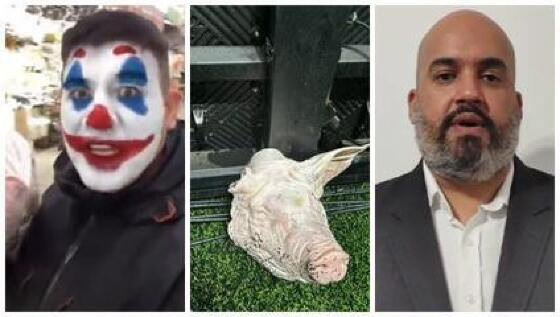 Cabeça de porco.jpg