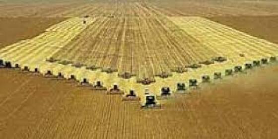 Agro dívida.jpeg