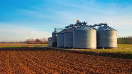 silos novos.jpg