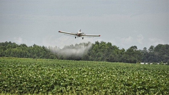 aviação agrícola.jpg