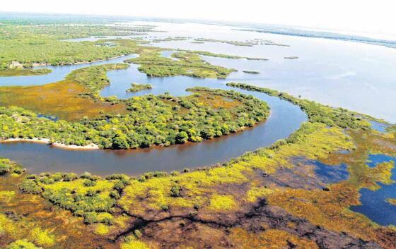 pantanal-arquivo-jornal-a-gazeta.jpg