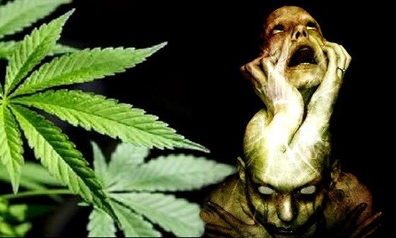 maconha CREEPY.jpg
