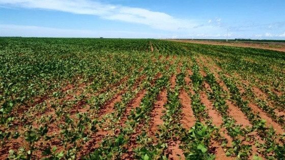 Fazenda americana.jpg