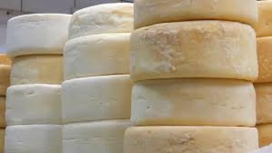 QUEIJO.jpeg