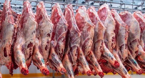 carne-export-jun-24-1.jpg