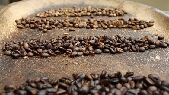 café mineiro.jpg
