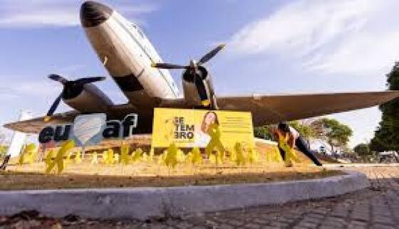 AVIÃO AMARELO.jpeg
