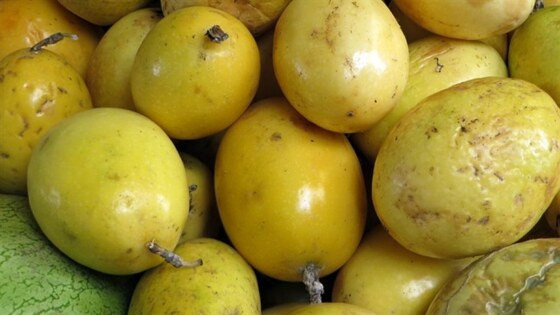 maracuja.jpg