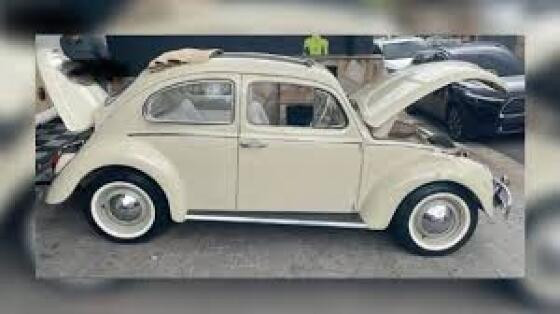 fusca.jpeg