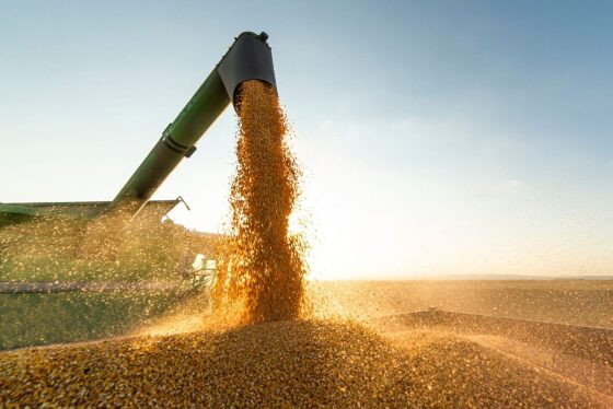 agro_soja-1068x713.jpg