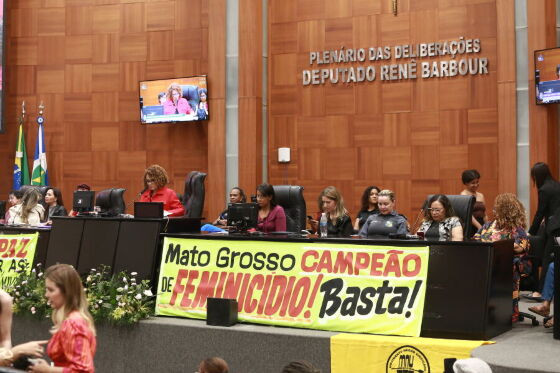 FEMINICIDIO BASTA.JPG