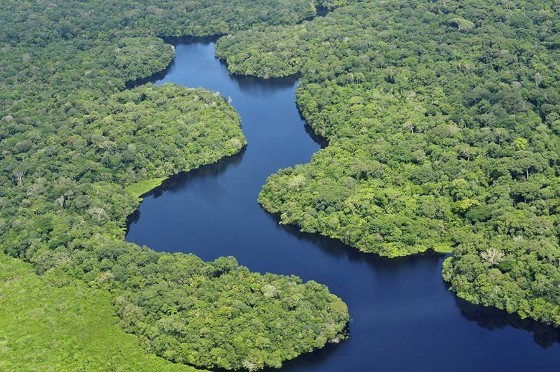 amazonia.jpg