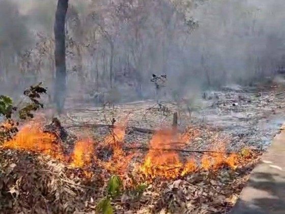 16.09 incendio barra.jpg